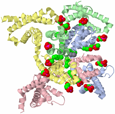 Image Asym./Biol. Unit