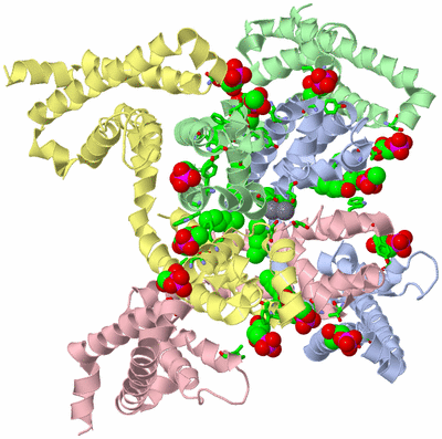 Image Asym./Biol. Unit - sites