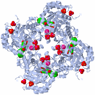 Image Biological Unit 1