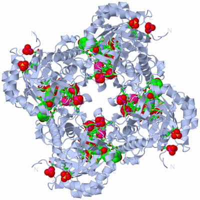 Image Biol. Unit 1 - sites