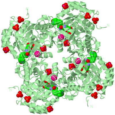 Image Biological Unit 2