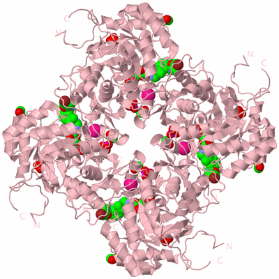 Image Biological Unit 3