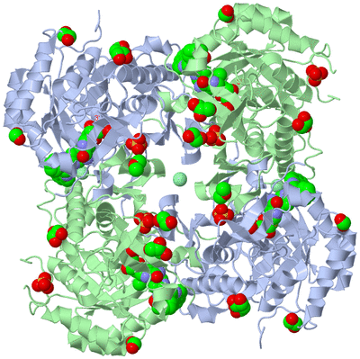 Image Biological Unit 1