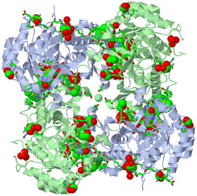 Image Biol. Unit 1 - sites