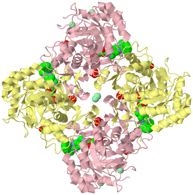 Image Biological Unit 2