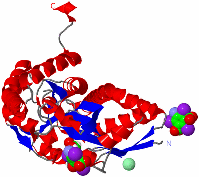 Image Asym./Biol. Unit