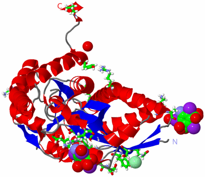 Image Asym./Biol. Unit - sites