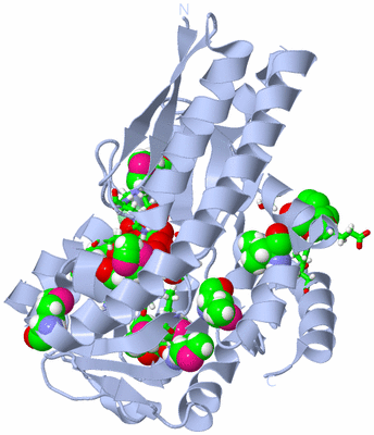 Image Biol. Unit 1 - sites