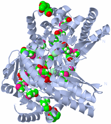 Image Biological Unit 2