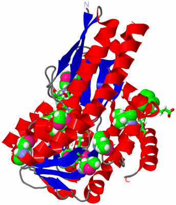 Image Asym. Unit - sites