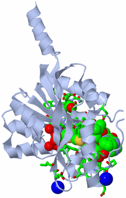 Image Biol. Unit 1 - sites