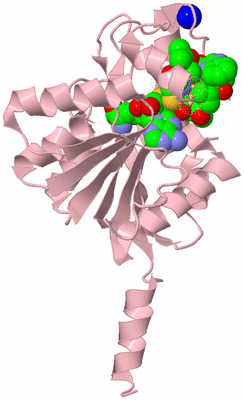 Image Biological Unit 3