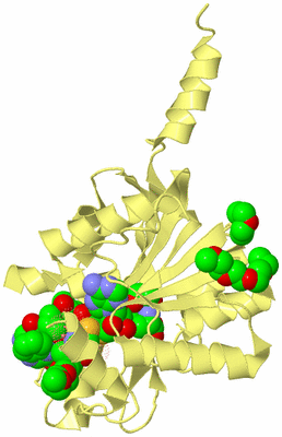 Image Biological Unit 4