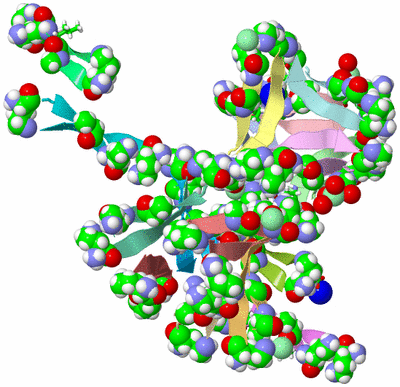 Image Asym./Biol. Unit - sites