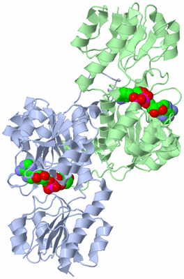 Image Asym./Biol. Unit