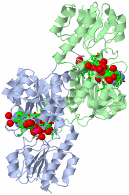 Image Asym./Biol. Unit - sites