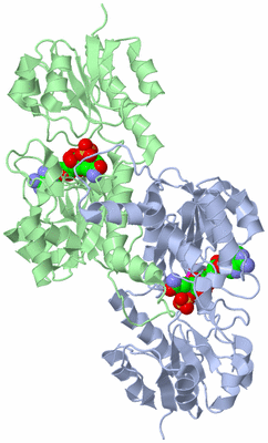 Image Asym./Biol. Unit