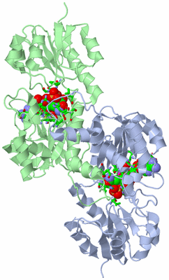 Image Asym./Biol. Unit - sites