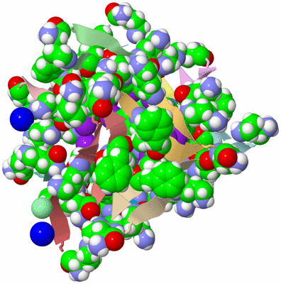 Image Asym./Biol. Unit