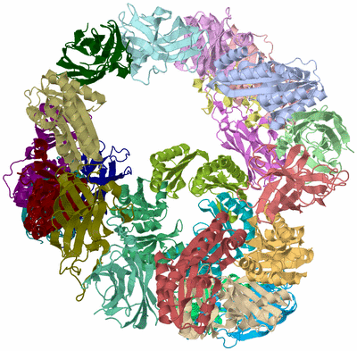 Image Asym./Biol. Unit