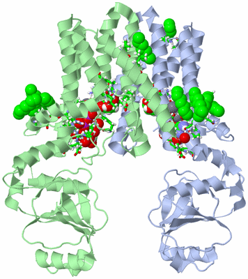 Image Asym./Biol. Unit - sites