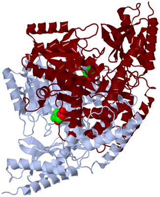 Image Biological Unit 2