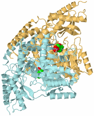 Image Biological Unit 3