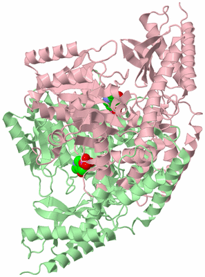 Image Biological Unit 4