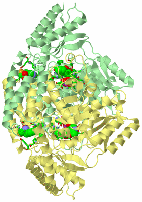 Image Biol. Unit 1 - sites