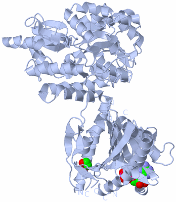 Image Biological Unit 1