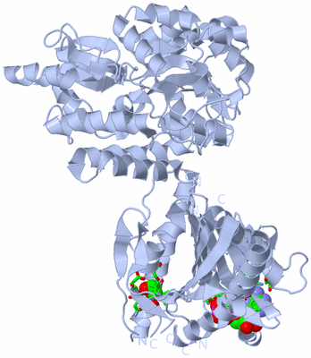 Image Biol. Unit 1 - sites