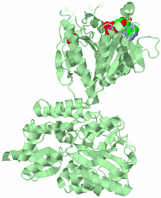 Image Biological Unit 2