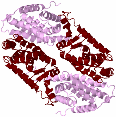 Image Biological Unit 2