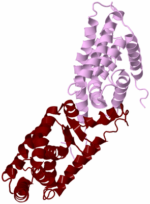 Image Biological Unit 3