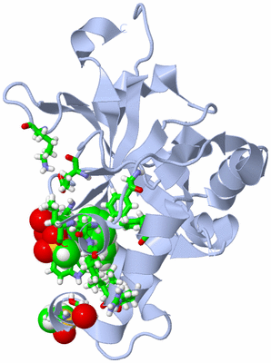 Image Biol. Unit 1 - sites