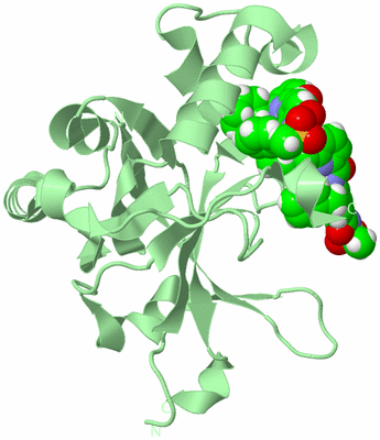 Image Biological Unit 2