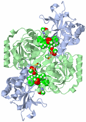 Image Biological Unit 3