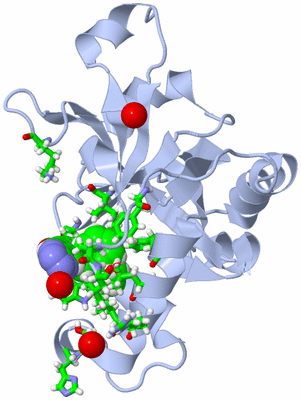 Image Biol. Unit 1 - sites