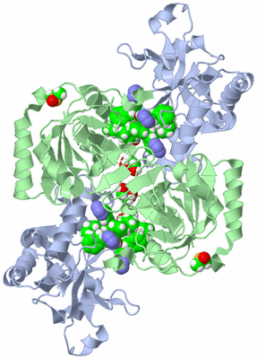 Image Biological Unit 3