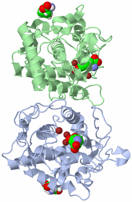 Image Asym./Biol. Unit