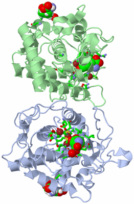 Image Asym./Biol. Unit - sites