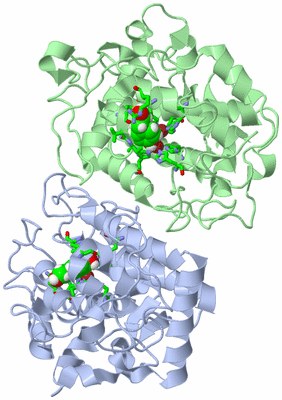 Image Asym./Biol. Unit - sites