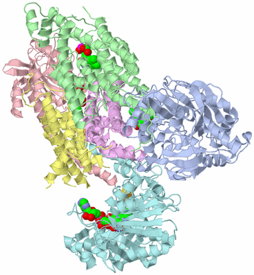 Image Asym./Biol. Unit