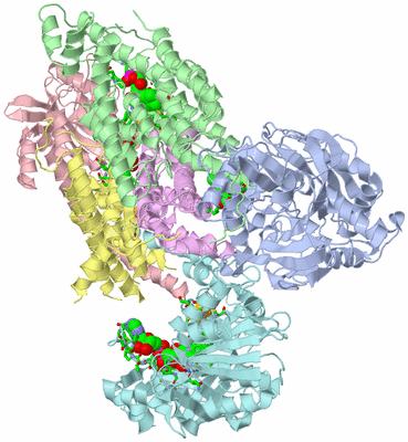 Image Asym./Biol. Unit - sites