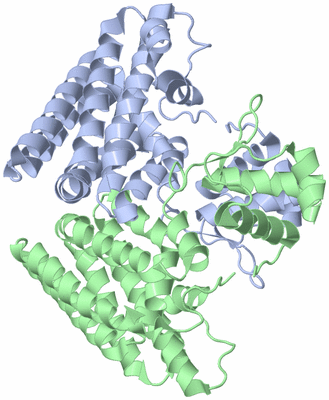 Image Asym./Biol. Unit