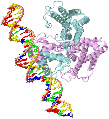 Image Biological Unit 1