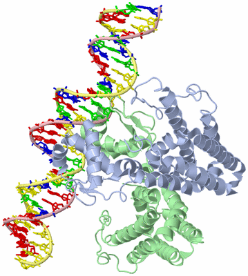 Image Biological Unit 2