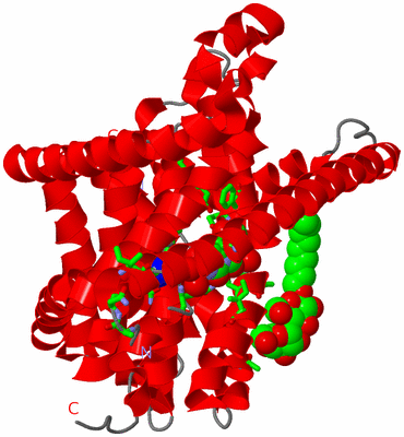 Image Asym. Unit - sites