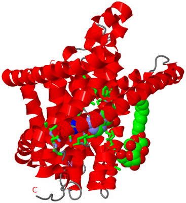 Image Asym. Unit - sites