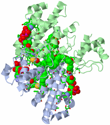 Image Asym./Biol. Unit - sites